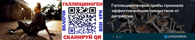 где можно купить   Кириши  mega   Псилоцибиновые грибы Magic Shrooms 