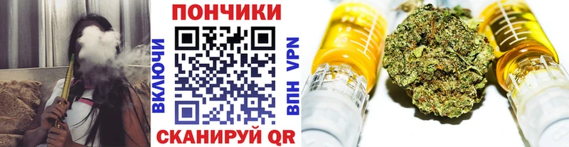 Бошки марихуана планчик  Кириши 